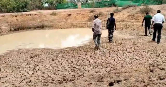 மயிலாடுதுறை, அரியலூர்: சிறுத்தை பல கி.மீ. இடம்பெயர்வது ஏன்? என்ன செய்கிறது?