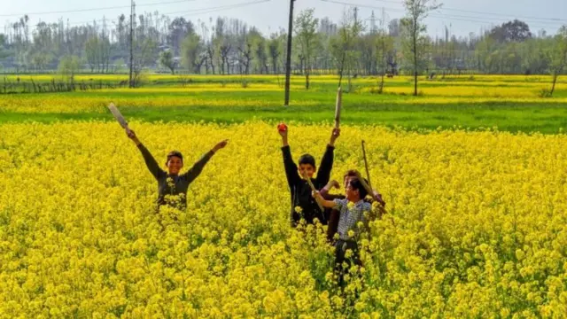 சட்டப்பிரிவு 370, ஜம்மு காஷ்மீர், இந்திய அரசியல்