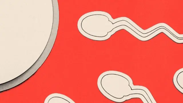 Un fondo rojo con ilustraciones blancas de espermatozoides apuntando hacia una forma de óvulo.