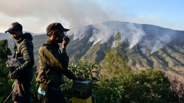 Petugas memantau kebakaran di kawasan Taman Nasional Bromo Tengger Semeru, Jawa Timur, pada 9 September 2023. Kebakaran terjadi sejak 17 Agustus 2023.