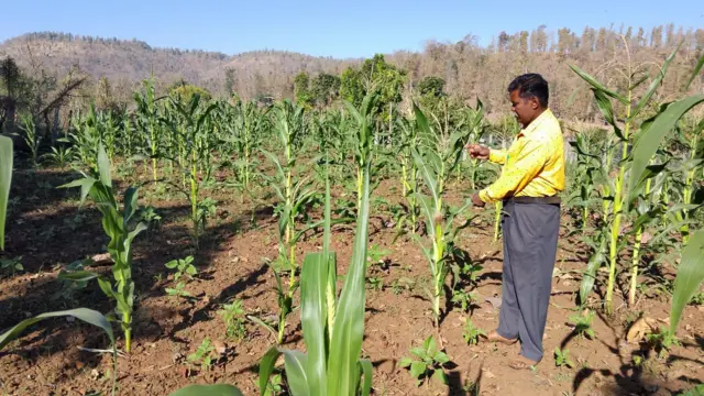 સુકીરાવભાઈ