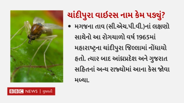 ચાંદીપુરા 