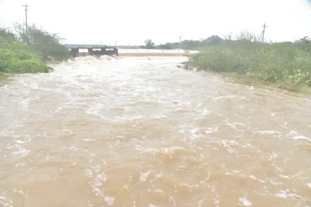 నెల్లూరు