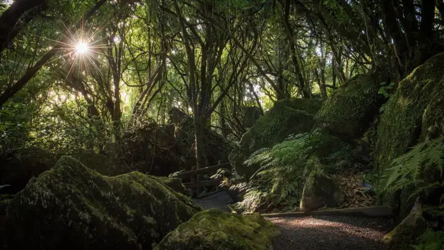 Denize Bluffs in New Zealand’s Mangaotaki Valley provided several LOTR filming locations (Credit: Hairy Feet Waitomo)