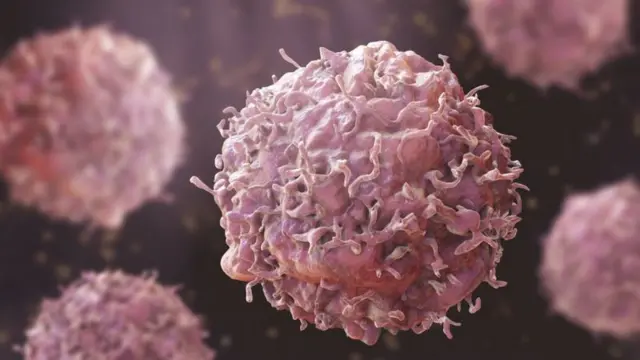 எறும்புகளால் புற்றுநோயை கண்டறிய முடியுமா?