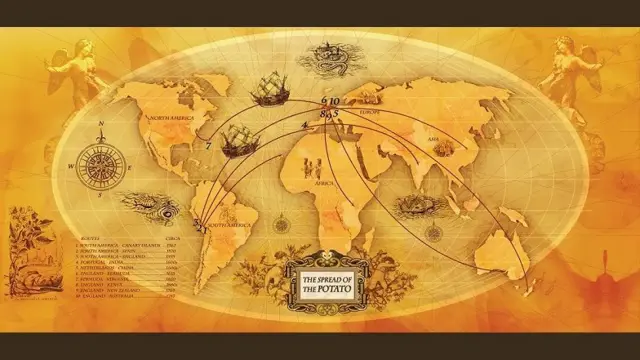 أطلق المركز الدولي للبطاطس خريطة لإظهار الحركة العالمية للبطاطس من موطنها الأصلي في جبال الأنديز