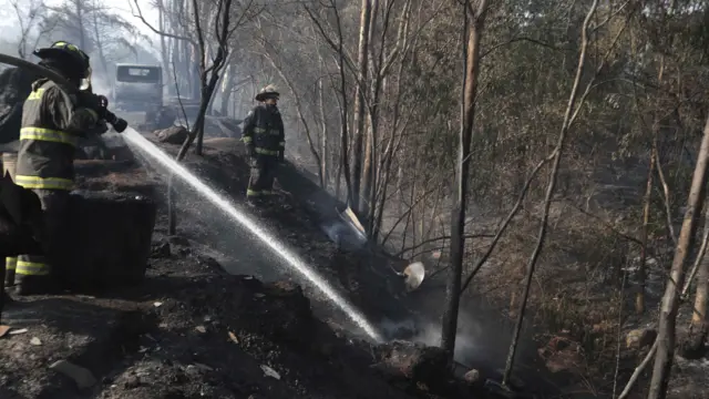 Bombeiros apagam um incêndioapps de palpites de futebolEl Patagual, pertoapps de palpites de futebolViña del Mar