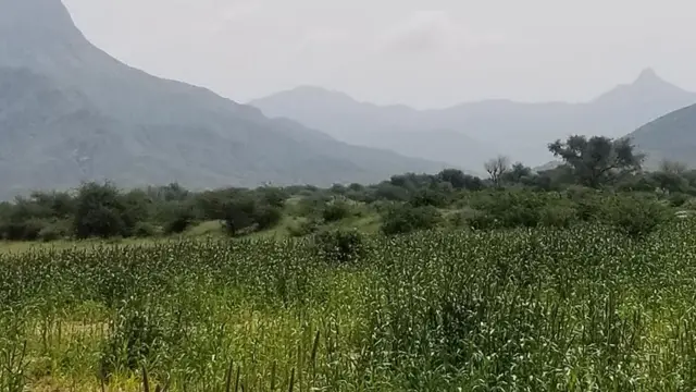 ተኪኤ ዝዓበየሉ ከባቢ