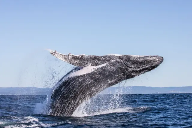 Nibiriga ayaa isticmaala dufanka dheeraadka ah ee ay keydiyaan
