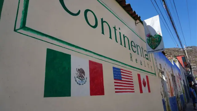 Root farm company in Ajijic
