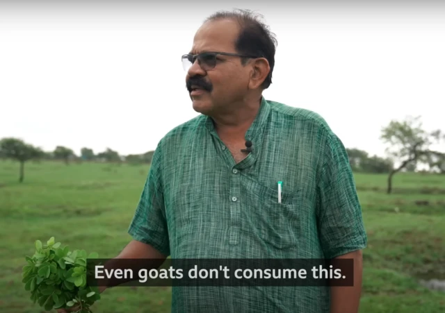 शाहू पाटोळे