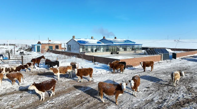 몽골의 전통 유목민 공동체는 이제 더 안정된 삶을 살고 있다