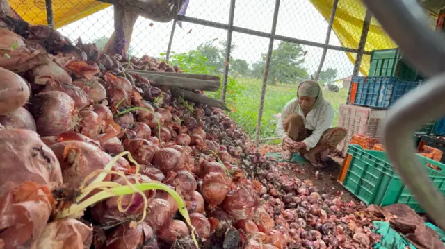 कांदा उत्पादक शेतकरी