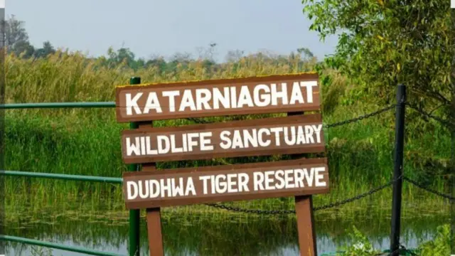 कतर्नियाघाट वन क्षेत्र