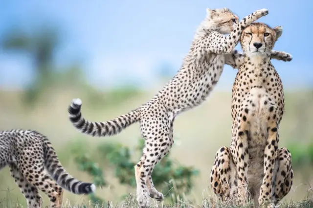 ‘ብስም ጎይታ. . . ጻእ ርዅስ መንፈስ!’