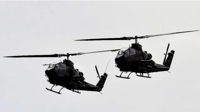 પાકિસ્તાન, ઘઉં, હૅલિકોપ્ટર, વાઇરલ વીડિયો, બીબીસી ગુજરાતી