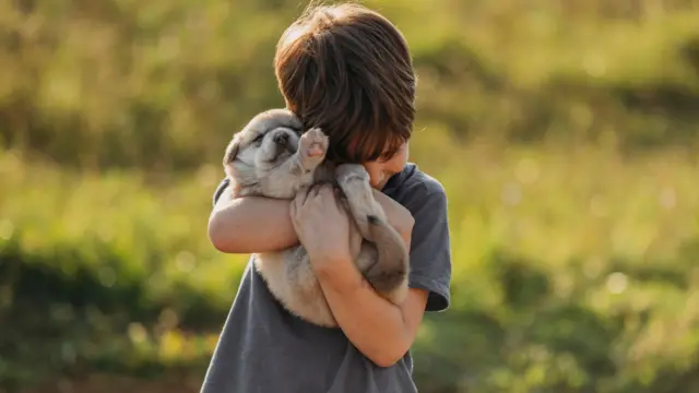 कुत्ते के बच्चे को गोद में उठाए एक बच्चा