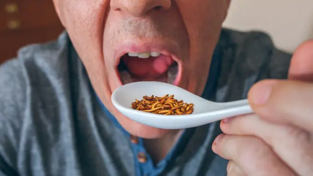 مردی با قاشق پر از حشرات