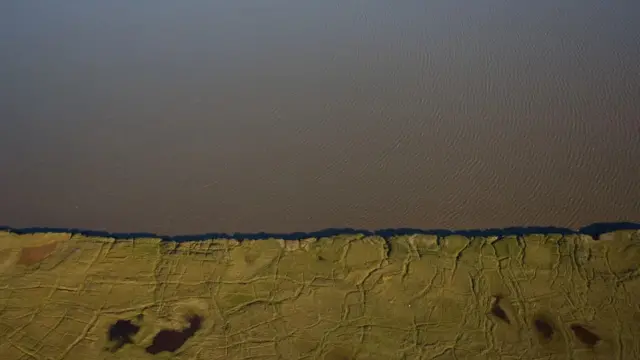 dinosaurus, kutub utara, paleontologi, cara hidup dinosaurus