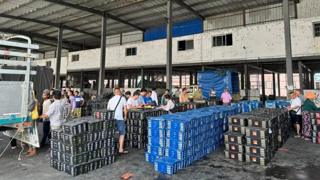 တရုတ်နိုင်ငံကိုတင်ပို့မယ် စိန်တလုံးသရက်ခြင်းတွေ 