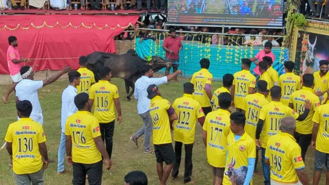 இலங்கையில் தமிழக வீரர்கள் உதவியுடன் பிரமாண்ட ஜல்லிக்கட்டு: எப்படி நடக்கிறது?