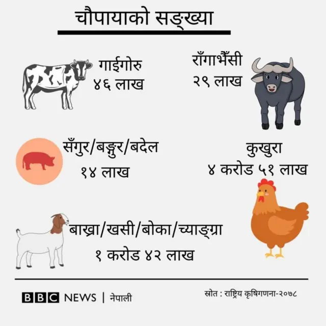 पशुपन्छीको सङ्ख्या 