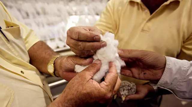 પ્રતીકાત્મક તસવીર