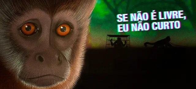 Imagem de um animal silvestre e um fundo preto