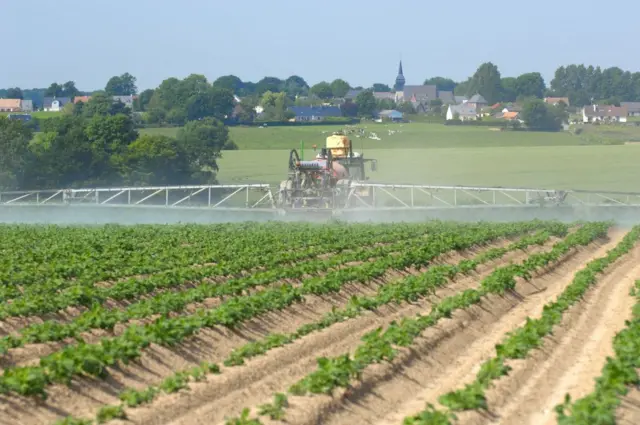 (ਸੰਕੇਤਕ ਤਸਵੀਰ)