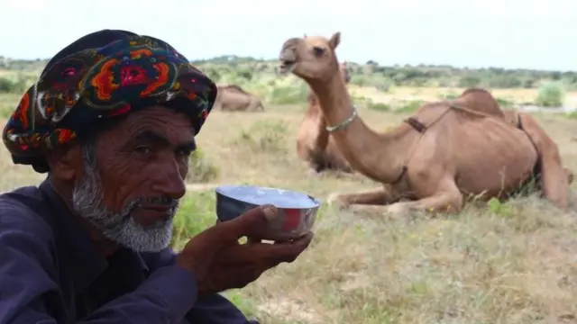 ఒంటె పాలు, ఆహారం, ఆరోగ్యం, ఆరోగ్య ప్రయోజనాలు