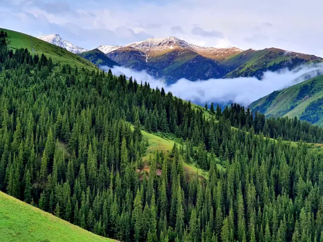 Бугу, марал байырлаган Нарын мамлекеттик жаратылыш коругу