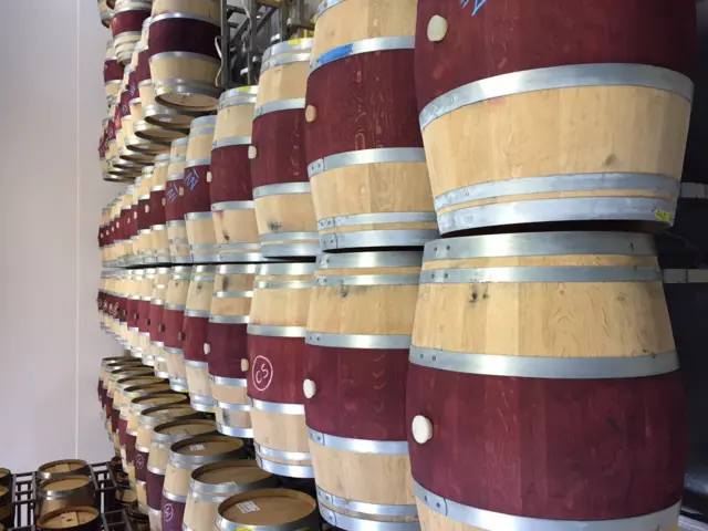 રાજ પટેલની વાઇનરી