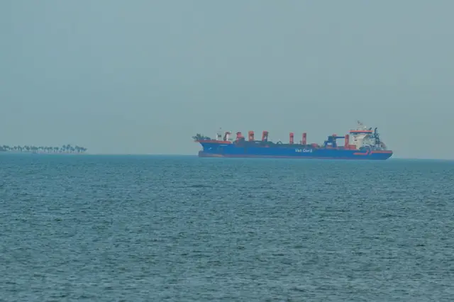 Denizde bir gemi. Arkada palmiye ağaçları görülüyor.