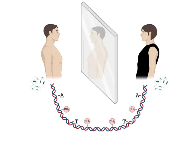 అపరిచిత కవలలు