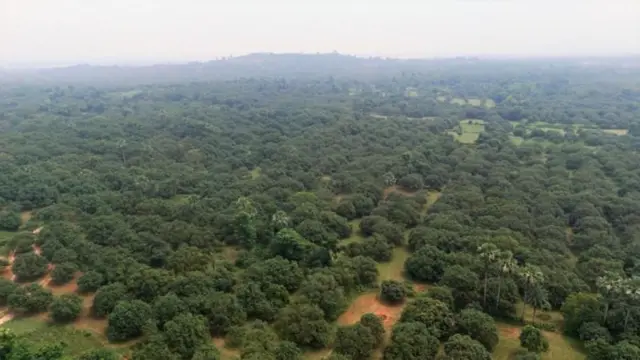 બીબીસી ગુજરાતી, ગુજરાત, બીબીસી, ગૌતમ અદાણી, અદાણી, બિહાર, 