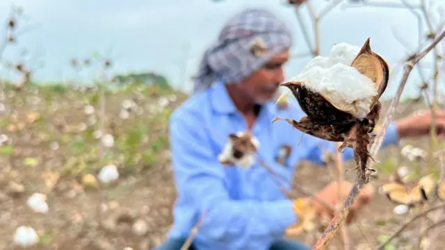 ગુજરાત, બીબીસી ગુજરાતી, ભારતમાં ખેતી, ગુજરાતમાં ખેતી, માવઠું, કમોસમી વરસાદ, જૂનાગઢ, પાકને નુકસાન, ચોમાસું, ભૂપેન્દ્ર પટેલ, ભાજપ, કૉંગ્રેસ, આમ આદમી પાર્ટી