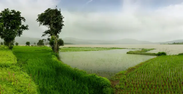 प्रातिनिधिक छायाचित्र