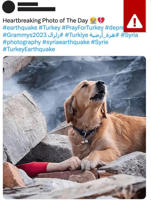 ترکی، جعلی تصویر