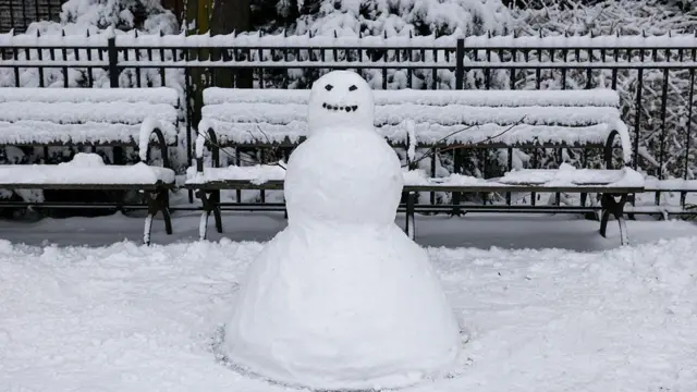 நியூயார்க், பனிப்புயல், பனிப்பொழிவு, போக்குவரத்து பாதிப்பு, அவசர நிலை