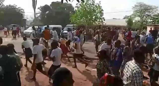 Ndị ntorobia na-eme ọgbaghara ahụ