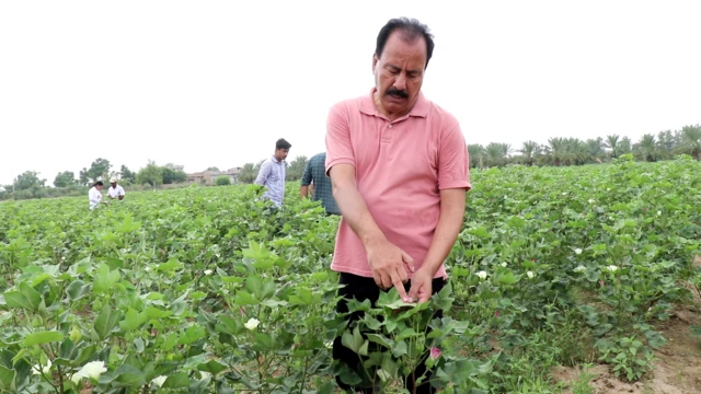 ਐਂਟੋਮੋਲੋਜਿਸਟ ਡਾ. ਵਿਜੈ ਕੁਮਾਰ