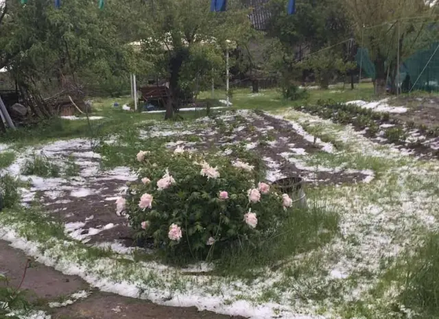 Град після грози у Смілі