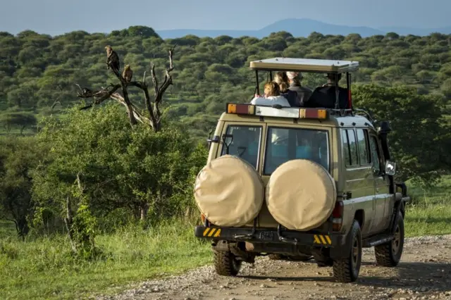 Le tourisme constitue un secteur primordial de l'économie tanzanienne.
