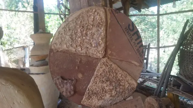 फर्सी र कुभिण्डोको बिउ