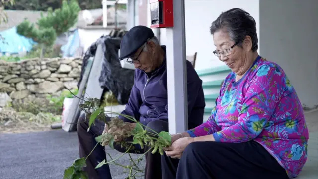 마루에 앉아 콩을 까는 안수영, 이옥란 부부
