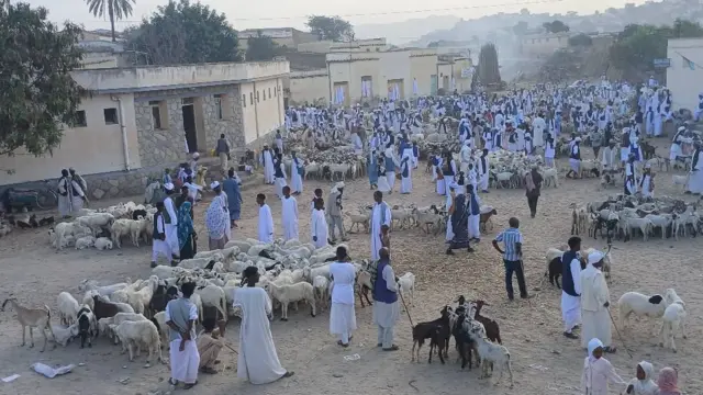 በዓል ኣል-ኣድሓ ፍሉይ ዝገብሮ ብሕሩድ ዝጽንበል ምዃኑ'ዩ። ኣብ ከረን ዝነበረ ዕሙር ዕዳጋ 'ማሓስ' ጤለ-በጊዕ