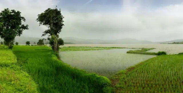 पाऊस
