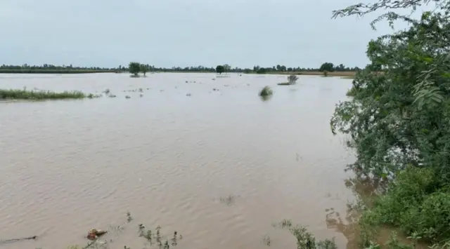 ਪਟਿਆਲਾ ਨੇੜੇ ਖੇਤਾਂ ਵਿੱਚ ਭਰਿਆ ਪਾਣੀ