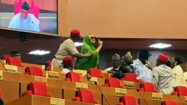 Aworan ijokoo ile aṣofin agba