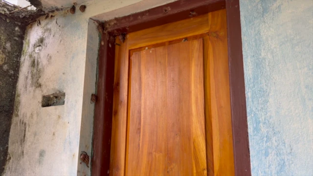 ગોકળગાય, સ્થાનિકો, બીબીસી, ગુજરાતી